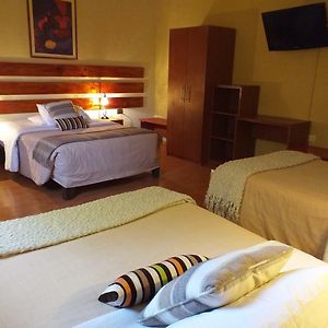 Comfort Triple Room